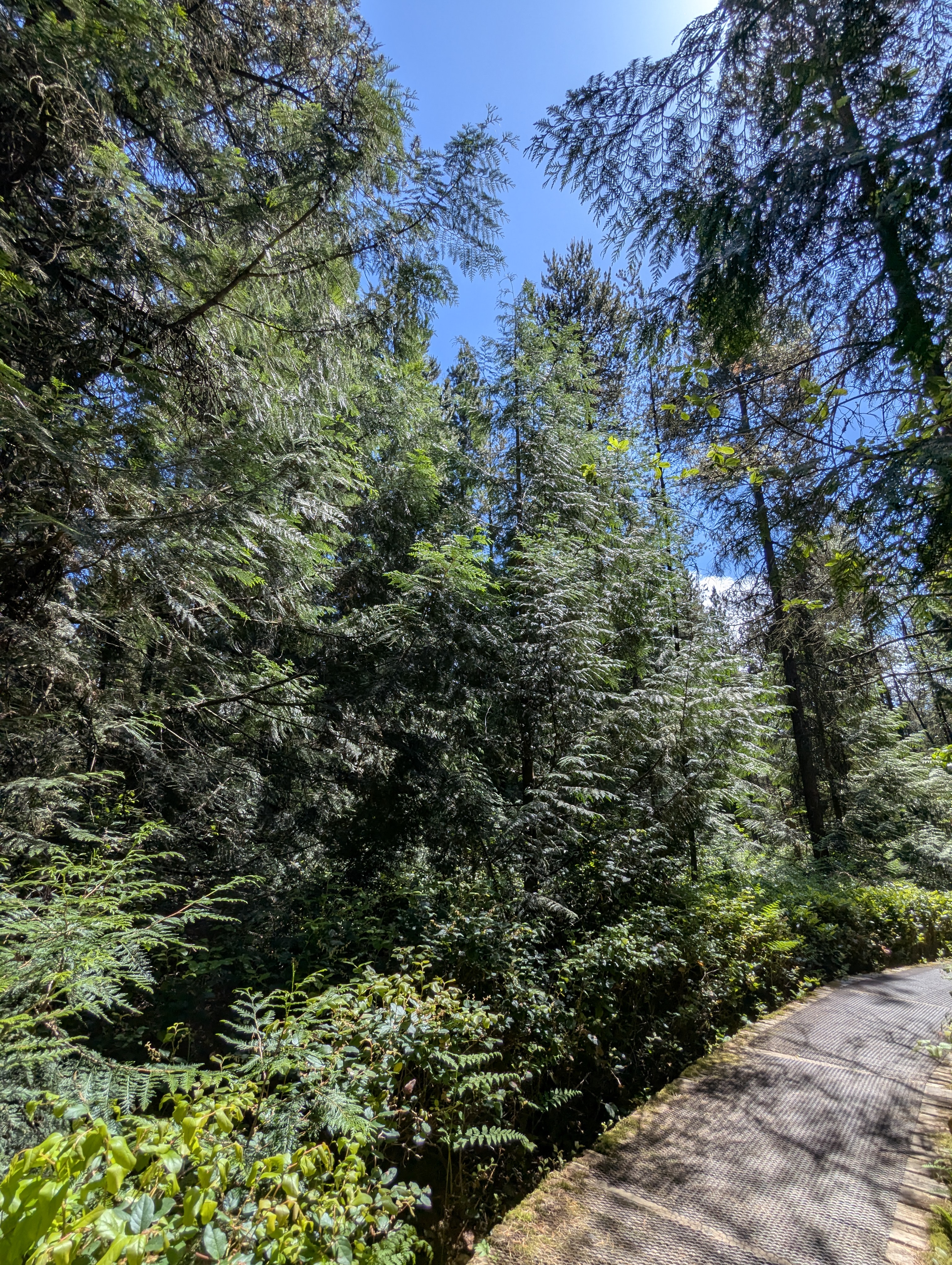 Birthday Trip to Canada, Delta, Burns Bog, Vancouver, British Columbia